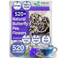 Butterfly Pea Flower Tea Bags — 100% Natural Herbal Tea