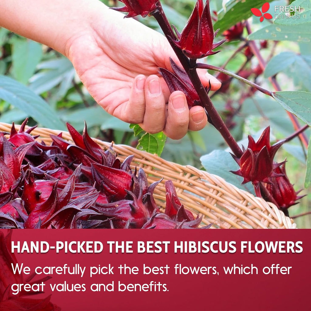 Hibiscus Dried Flowers Tea Bags — 100% Natural Herbal Tea