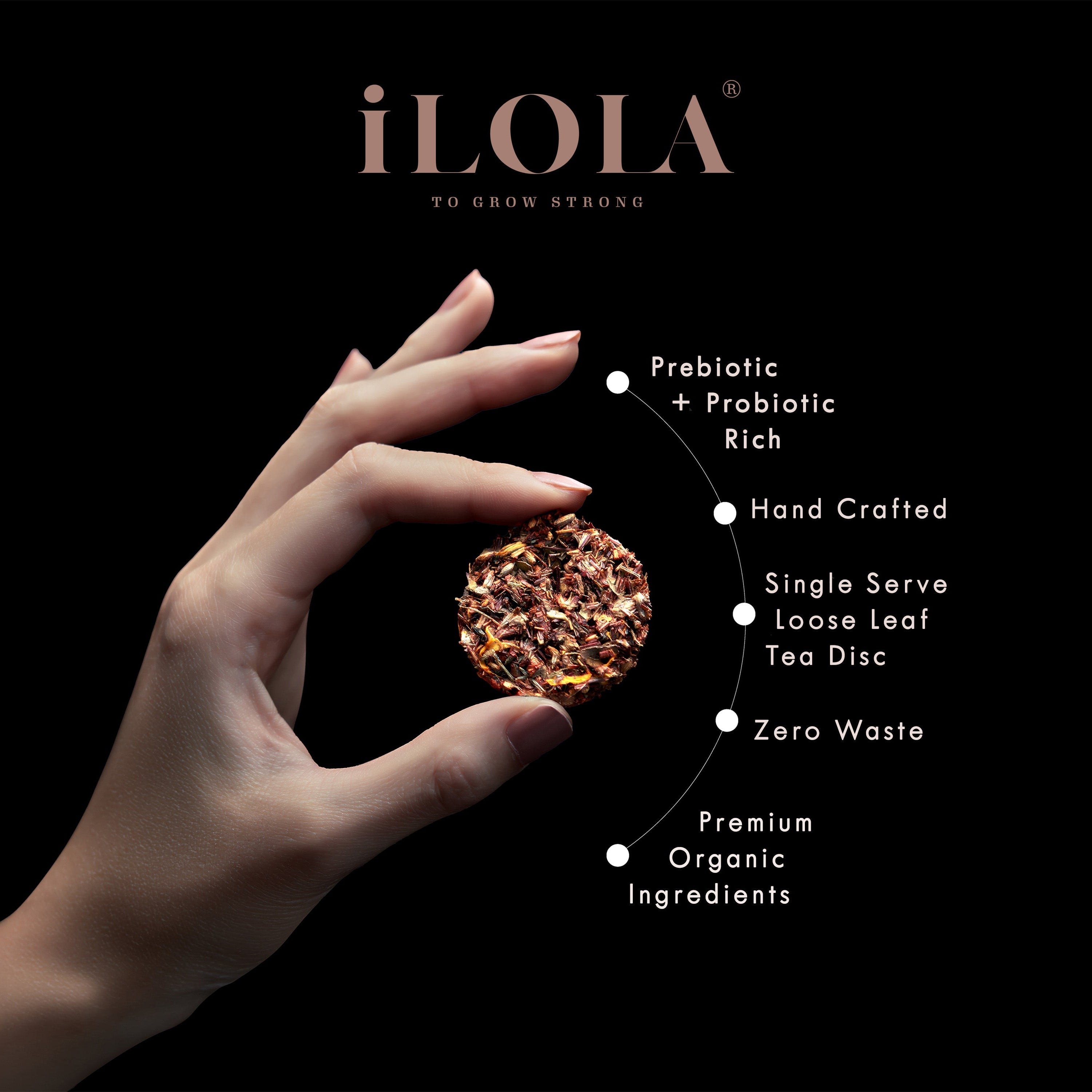 Probiotic Loose Leaf Tea
